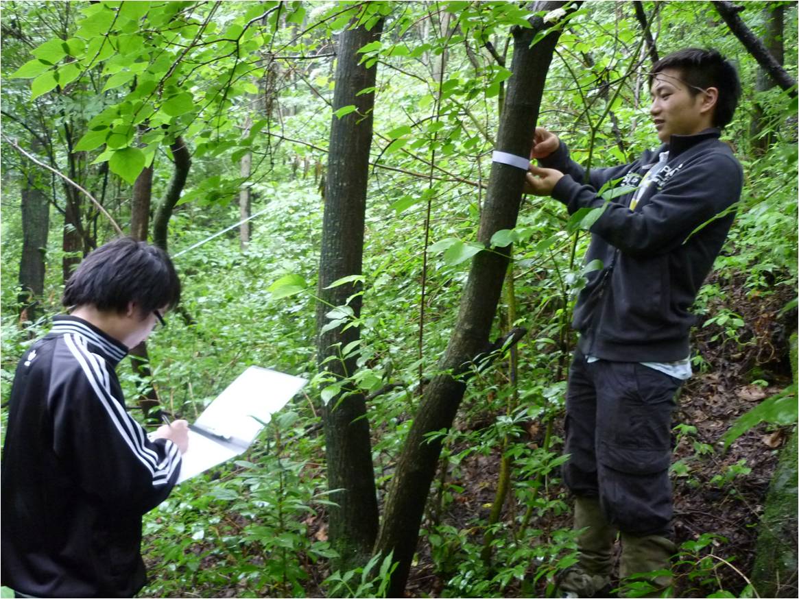 1493802562552011816.jpg 1493802562552011816.jpg