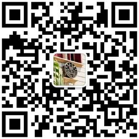 厦门大学 公众号.png
