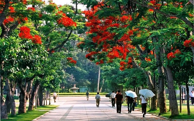 2020软科中国大学排名：长三角及华南地区高校排名 