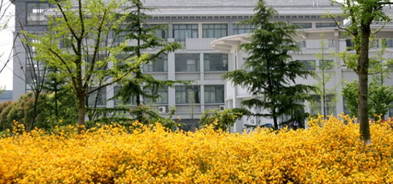 南京晓庄学院校园图片1