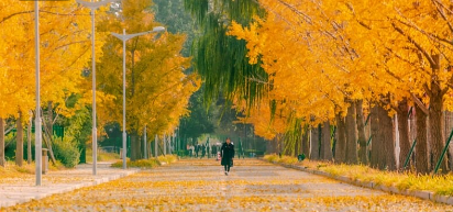 北京体育大学校园图片1